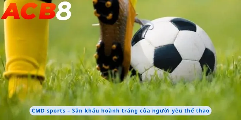 CMD Sports 1 Sân khấu hoành tráng của người yêu thể thao