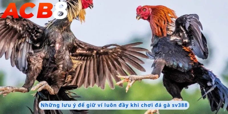 Đá Gà Sv388 3 Những lưu ý để giữ ví đầy