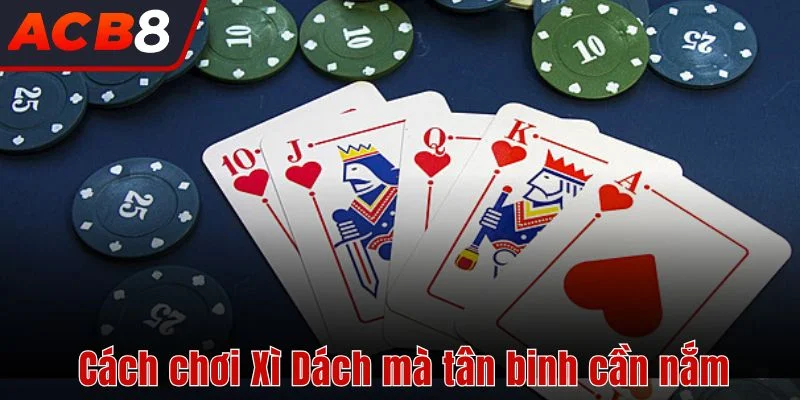 Cách Chơi Xì Dách 3 Cách chơi Xì Dách mà tân binh cần nắm
